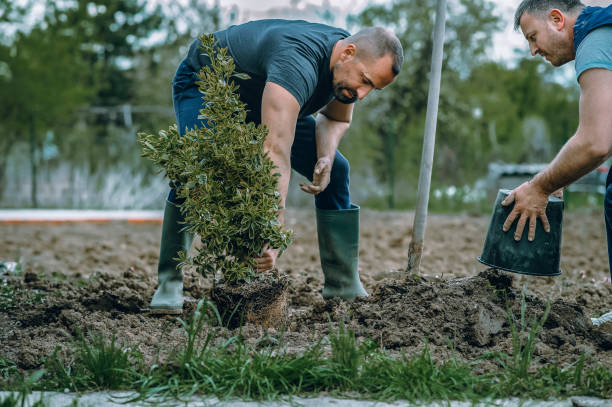 Best Seasonal Cleanup (Spring/Fall)  in Goose Creek Village, VA