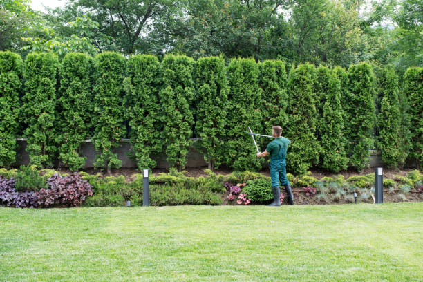 Best Stump Grinding and Removal  in Goose Creek Village, VA