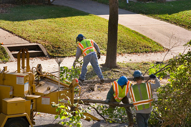 Best Soil Testing and Treatment  in Goose Creek Village, VA