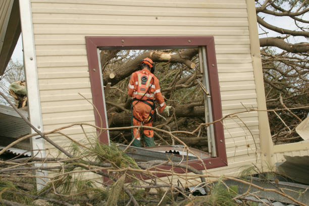 Best Tree Removal  in Goose Creek Village, VA