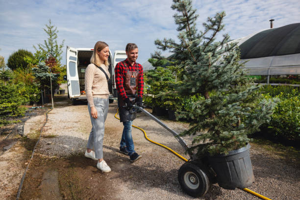 Best Tree and Shrub Care  in Goose Creek Village, VA